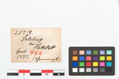Etikett zu Sapropelitring (NHMW-PRAE-025219)